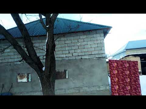 Видео: Жылқы бордақылау!!! Күндік режим+мал қора өлшемдері!!!