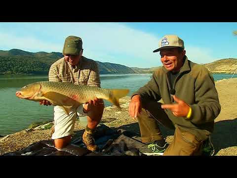 Видео: Карпфишинг на Риба-Роха \ Мировая рыбалка. Сезон 3.