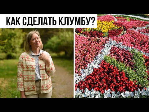 Видео: Как подбирать растения для клумбы и контейнера / основы композиции