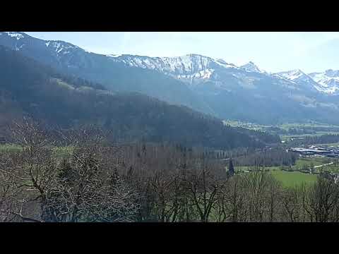 Видео: 11 ноября 2025 г.