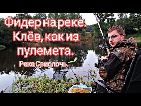 Видео: Фидер на реке. Клёв, как из пулемета. Река Свислочь.