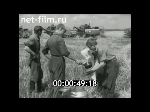 Видео: 1966г. Смоленская обл. уборка урожая в колхозе