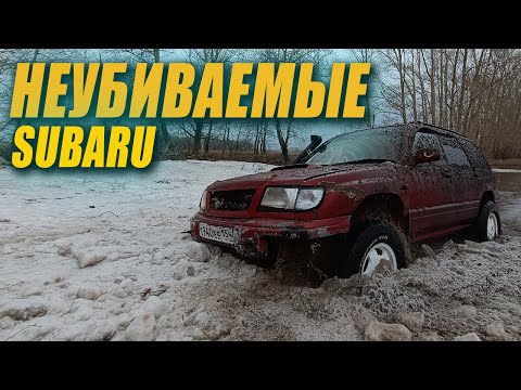 Видео: Жёсткое испытание subaru forester. Offroad на затопленных полях