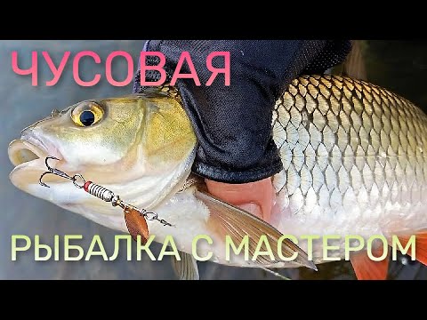 Видео: ЧУСОВАЯ! Отличная рыбалка с МАСТЕРОМ - "РУКОДЕЛЬНИКОМ"