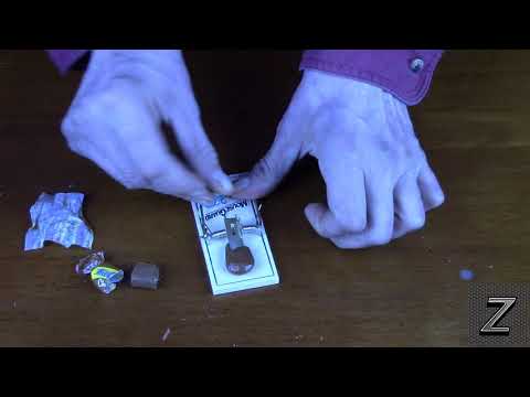 Видео: Три лучших способа приманить мышеловку, чтобы поймать их почти всегда (никаких вылизанных мышеловок)