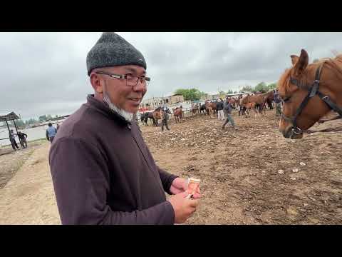 Видео: Мал базар Талас шаары