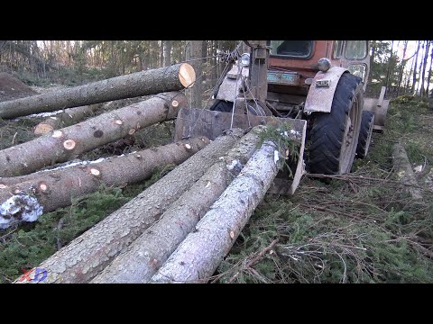 Видео: Заканчиваем зимний сезон. Т-40 вывоз леса пока земля не отпустилась.