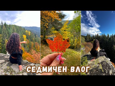 Видео: ВЛОГ | ЕСЕННИ РОДОПИ, много (НЕ)УСПЕШНИ РЕЦЕПТИ