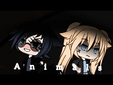 Видео: Клип: "Animals"|Maroon-5|Gacha life|//•Katsumi•(клип полный)