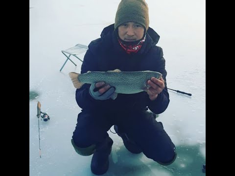 Видео: Отличный выезд на форель со льда!!! 7ка!!!