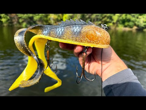 Видео: Безумное мускусное действо в Висконсине!! - Они кусались весь день!!