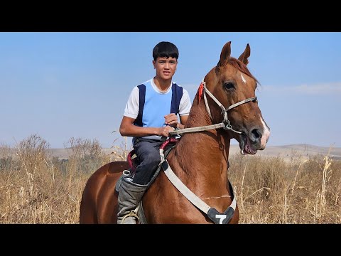 Видео: Мына ат экен го Закада