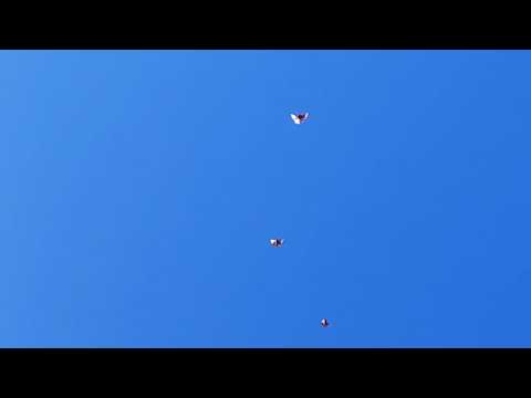 Видео: 14 августа 2025 г.