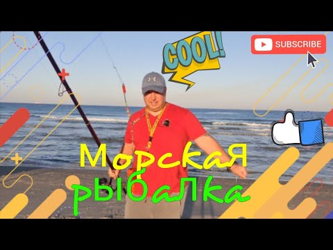 Видео: Морская рыбалка. #рыбалка #морскаярыбалка #surfcasting #fishing #снасти #товарысалиэкспресс