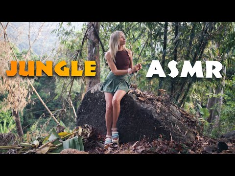 Видео: АСМР прогулка в джунглях 🌿 Засыпаем под звуки природы