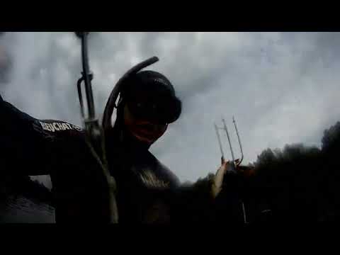 Видео: река Мста, подводная охота