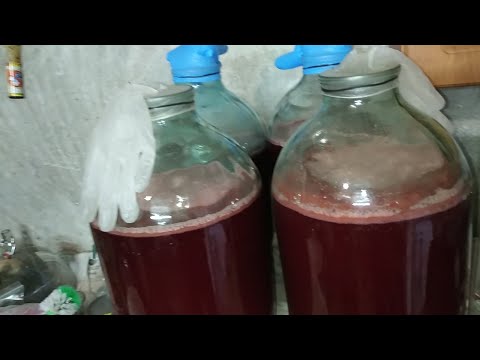 Видео: Изготовление домашнего вина из вишни.часть первая.