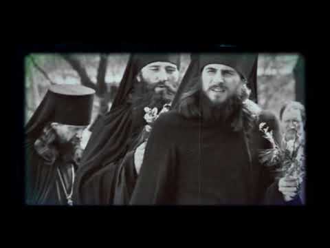 Видео: 38 псалом сл.Иеромонах Василий (Росляков)