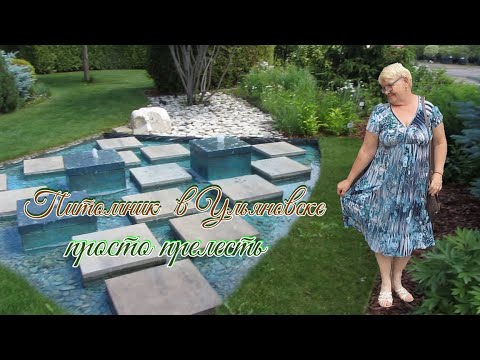 Видео: Знакомлюсь с питомниками в Ульяновске.