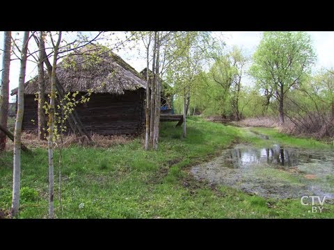 Видео: Белорусская Венеция – деревня Кудричи. Уникальная деревня на воде!