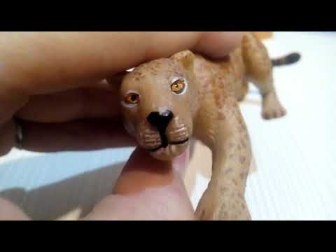 Видео: Мои покупки