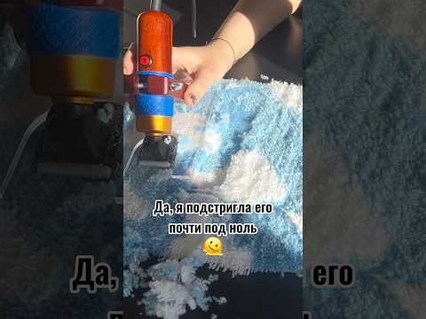 Видео: И такое бывает 😅 #тафтинг #ковры #творчество #эксперименты