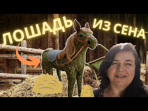 Видео: Мы делаем лошадь 🐎 из сена - DIY проект - Просто Мария