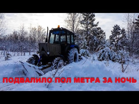 Видео: Пол метра снега за ночь! Опять чистить.
