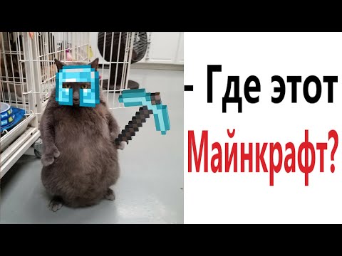 Видео: Лютые приколы. МАЙНКРАФТ ЛЮБИТ КОТ!!! Тест на психику! Засмеялся проиграл! – Domi Show!