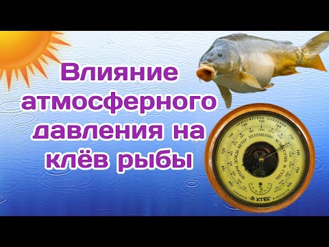 Видео: Влияние атмосферного давления на клев рыбы. Как влияет Атмосферное давление на успех рыбалки.