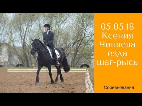 Видео: Манежная езда шаг-рысь 5 мая Чиняева Ксения и Старк / Дивные Кони