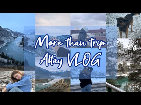 Видео: ВЛОГ ИЗ АЛТАЯ // Горы, реки и красота природы 💔