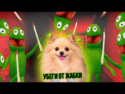 Видео: СТАЛА ЛЯГУШКОЙ В ROBLOX | УБЕГАЮ ОТ ЖАБ В РОБЛОКС