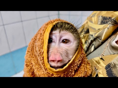 Видео: Анфиса, сейчас будем из тебя ДЕЛАТЬ ЧЕЛОВЕКА!