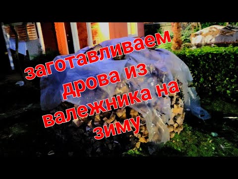 Видео: Заготавливаем дрова из валежника на зиму