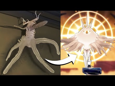 Видео: жуки из Hollow knight в реальной жизни!