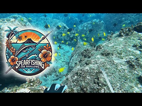 Видео: Подводная охота на мелководье Большого острова Гавайи — трудный день 3. Борьба со страхом