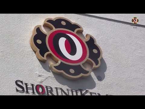 Видео: Боевое искусство Сёриндзи Кэмпо. История Shorinji Kempo 少林寺拳法