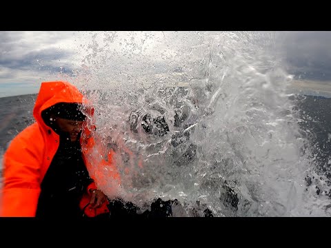 Видео: МОРСКАЯ РЫБАЛКА УДАЛАСЬ, НО ПОПАЛИ В ШТОРМ  /  SEA FISHING WAS A SUCCESS, BUT WE GOT INTO A STORM