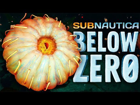 Видео: ОГРОМНЫЕ ПЕЩЕРНЫЕ ЦВЕТЫ ► Subnautica: Below Zero #14