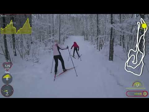 Видео: 23.01.2022. Можайка. Лыжная трасса. Круг 3,5 км.