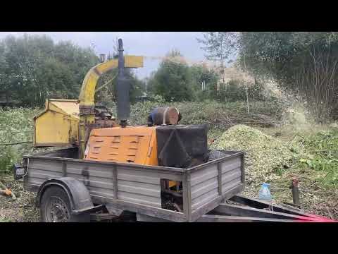 Видео: Расчистка участка 30 соток от деревьев в Жуково