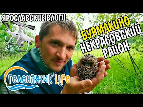Видео: Геленджик LIFE. Отпуск без моря. 2019 Бурмакино
