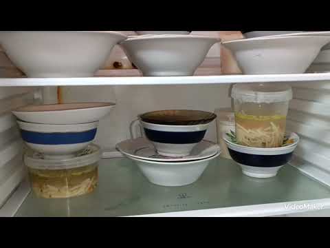 Видео: Заготовки продолжаются. Сливы, орехи, шиповник. Готовлю.