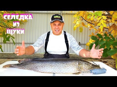 Видео: САМЫЙ ВКУСНЫЙ РЕЦЕПТ СЕЛЁДКИ ИЗ ЩУКИ от МИХАЛЫЧА! Пальчики оближешь!