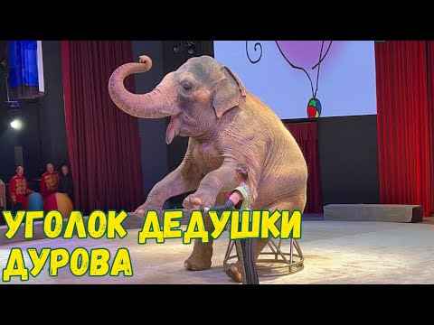 Видео: Уголок дедушки Дурова | Мечта родом из детства