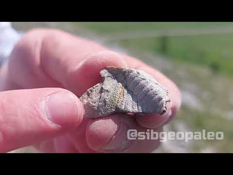 Видео: 22 июня 2025 г.