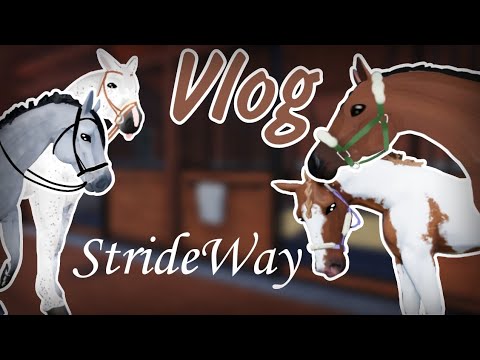 Видео: Влог по StrideWay🤫 /•/ Тренировка и прогулка❤️‍🩹/•/ #horseriding