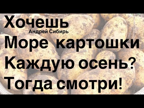 Видео: ПОЛУЧАЙ УРОЖАЙ КАРТОФЕЛЯ ТОННАМИ! САЖАЙ КЛУБНИ В ПИРАМИДУ И ГОТОВЬ МЕШКИ !