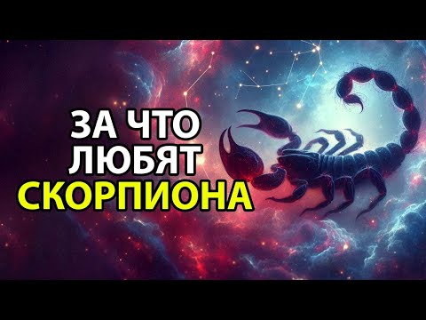 Видео: СКОРПИОН - Чем привлекает внимание этот знак зодиака.